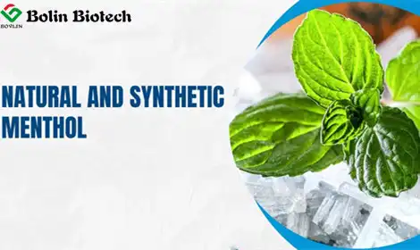 What is the Difference Between Natural and Synthetic Menthol?